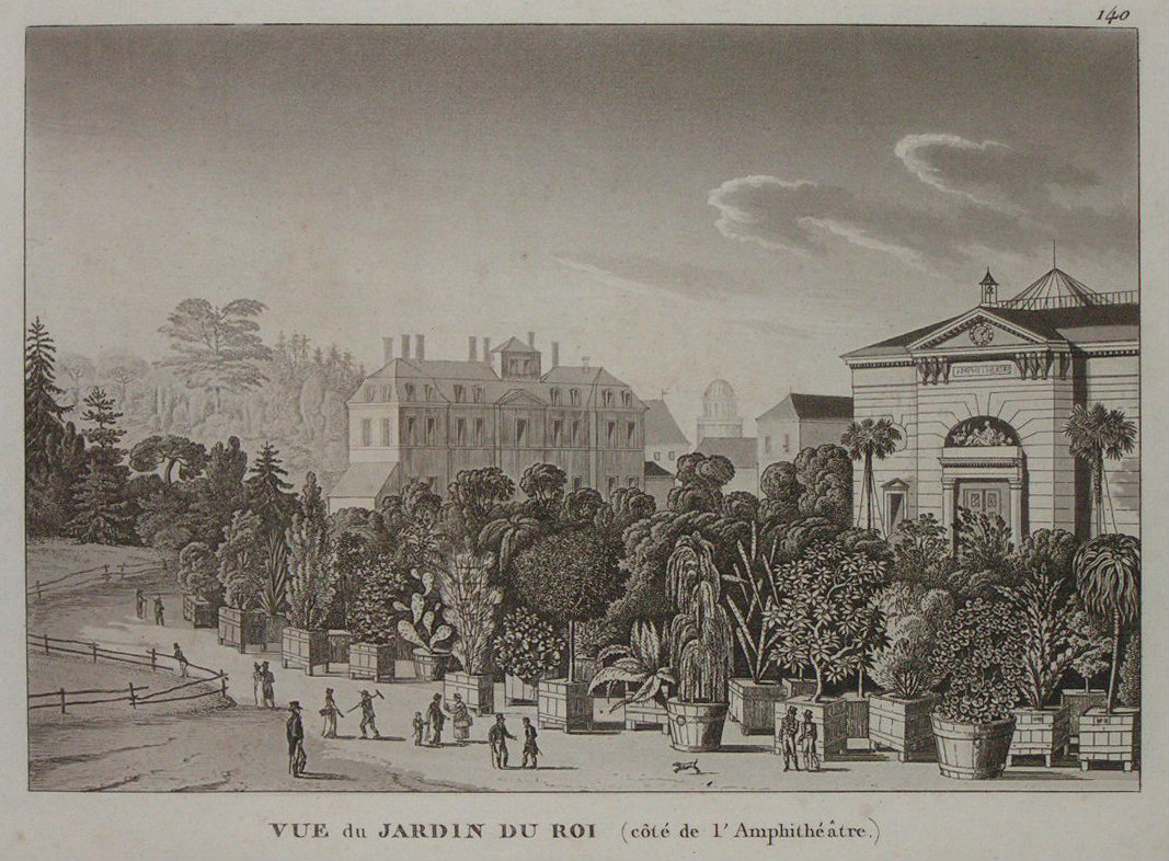 Aquatint - Vue du Jardin du Roi (cote de l'Amitheatre.)